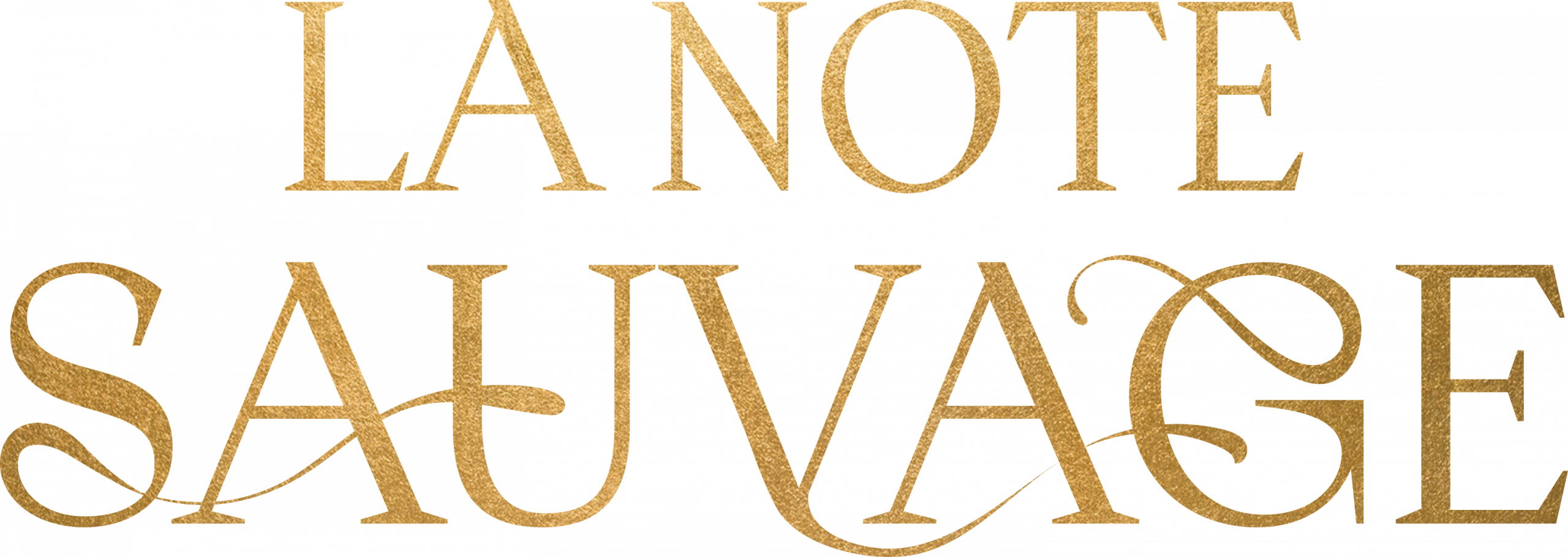 LNS_SITE_HP_TITRE_COMPLET_OR